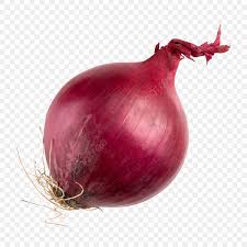 Onion